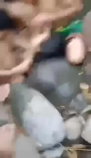 Bokep ngentot anak smp digilir bergantian viral Bokep ngentot anak smp digilir bergantian viral